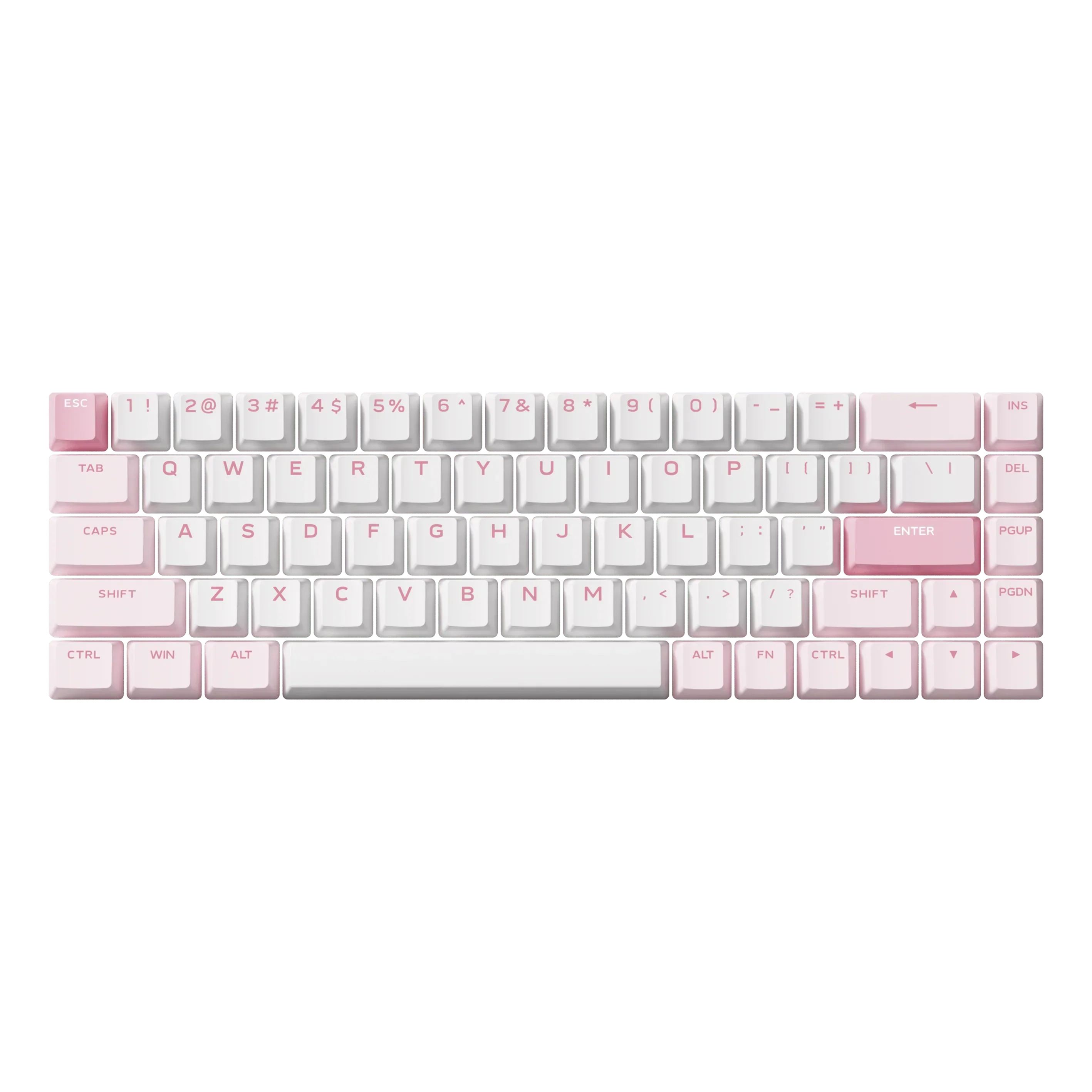Newest Products